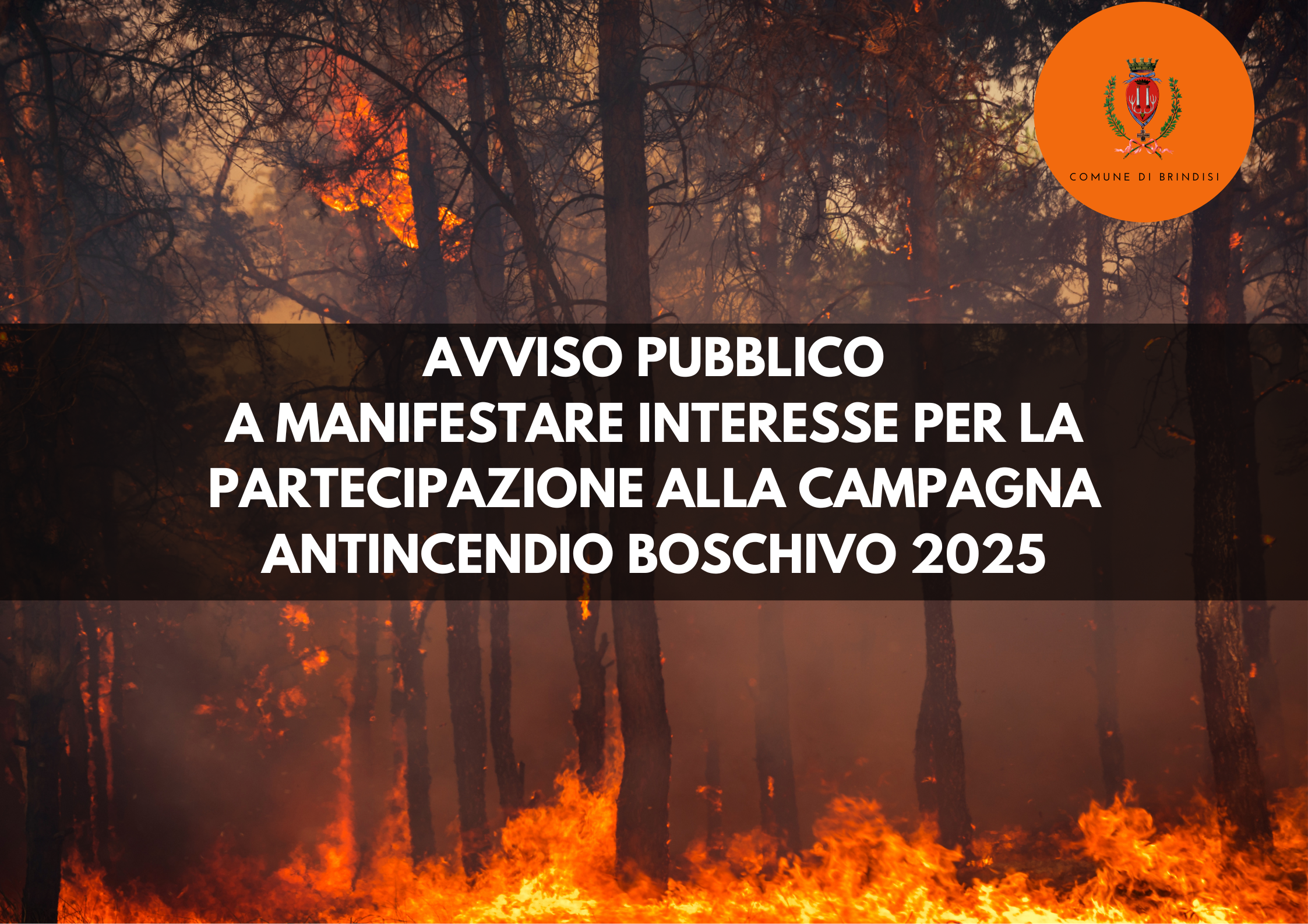 AntincendioBoschivo2025 immagine