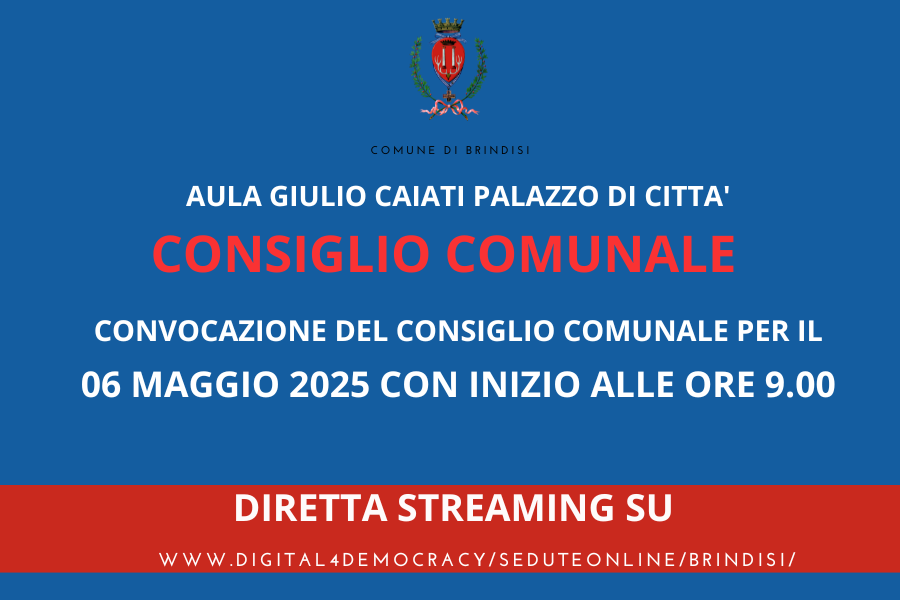 Consiglio comunale immagine