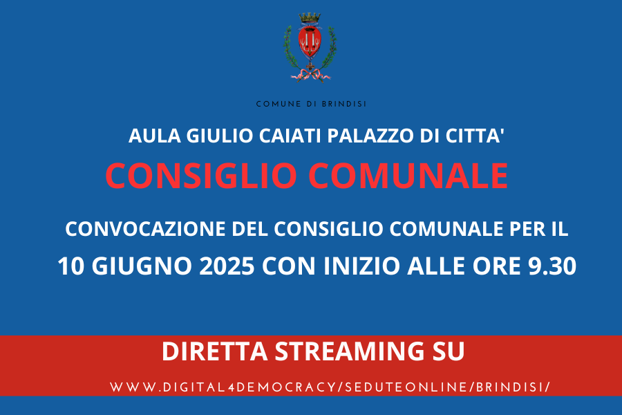 Consiglio comunale 10062025 immagine