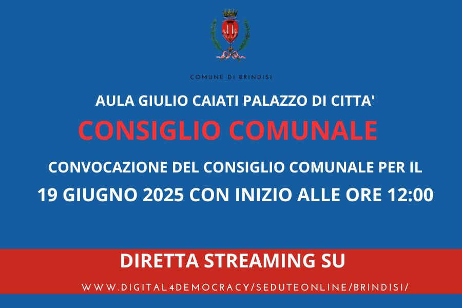 Consiglio comunale 19062025 immagine