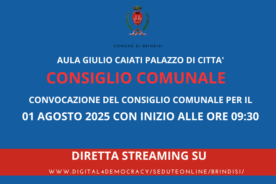 Consiglio comunale 01082025 immagine
