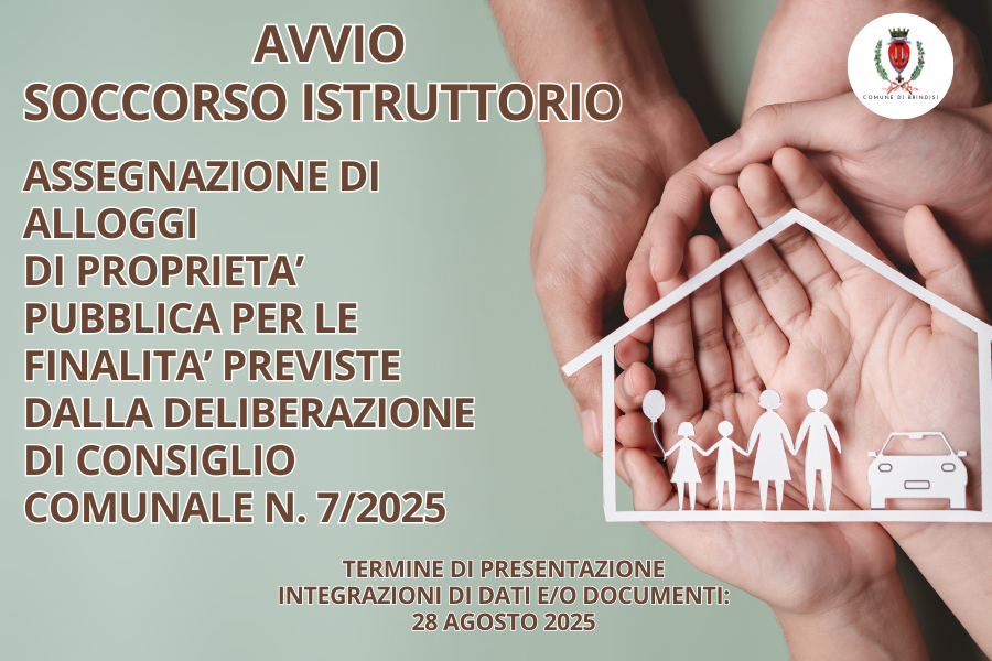 soccorso istruttorio immagine