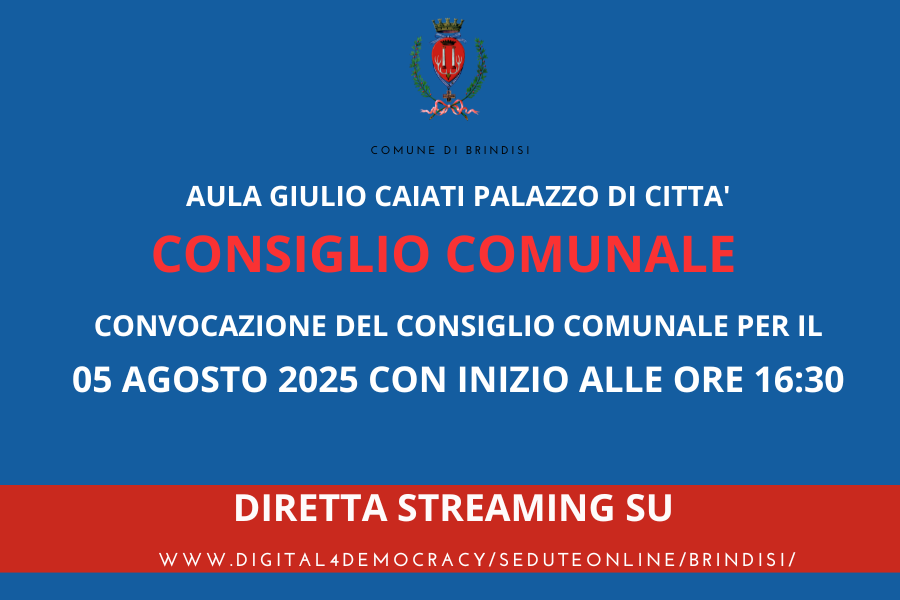 Consiglio comunale 05082025 immagine