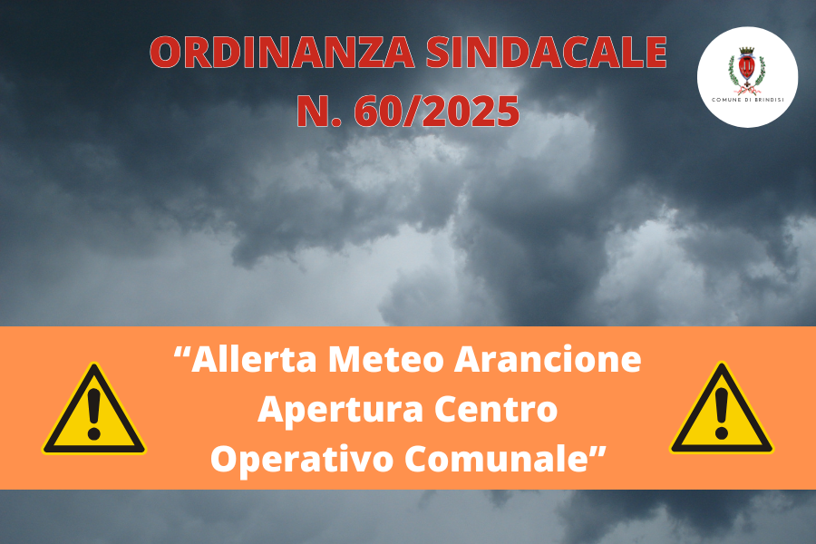 AllertaMeteo (1) immagine