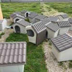 Cucce canile comunale Brindisi