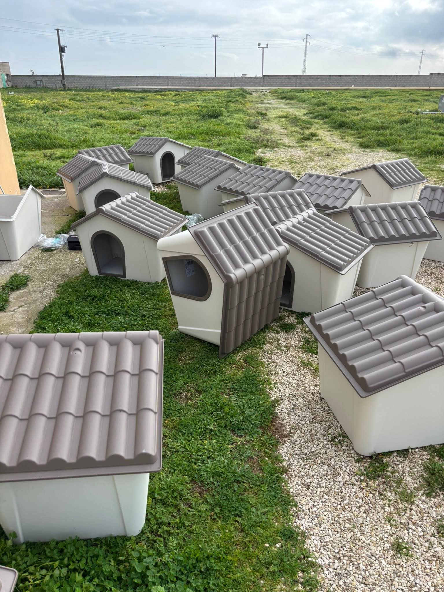 Cucce canile comunale Brindisi