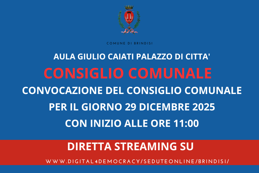 Consiglio comunale 29122025 immagine