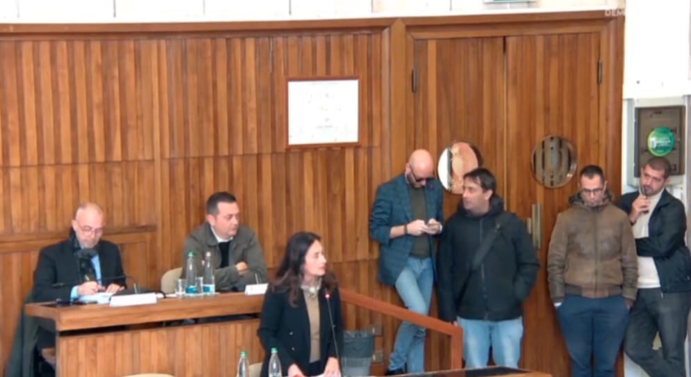 Consiglio comunale - Ernestina Sicilia