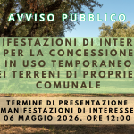 Immagine della card