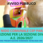 Immagine della card