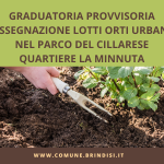 Immagine della card