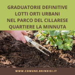 Immagine della card