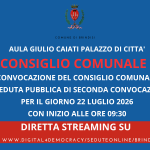 Immagine della card