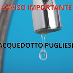 Immagine della card