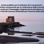 Immagine della card