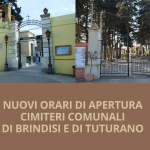 Immagine della card