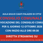 Immagine della card