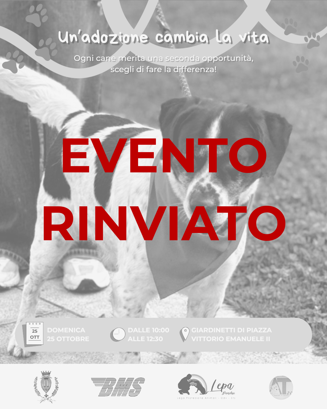 Rinvio campagna adozione canile comunale
