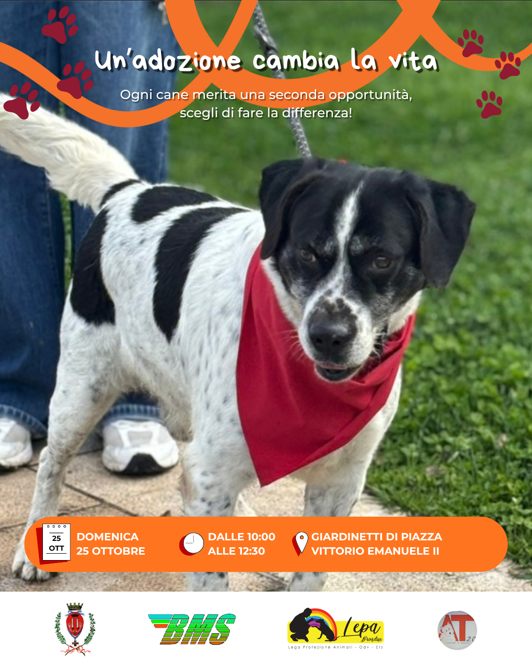 Campagna adozioni canile comunale 25 ottobre